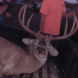 Meet your Posher, Hayden